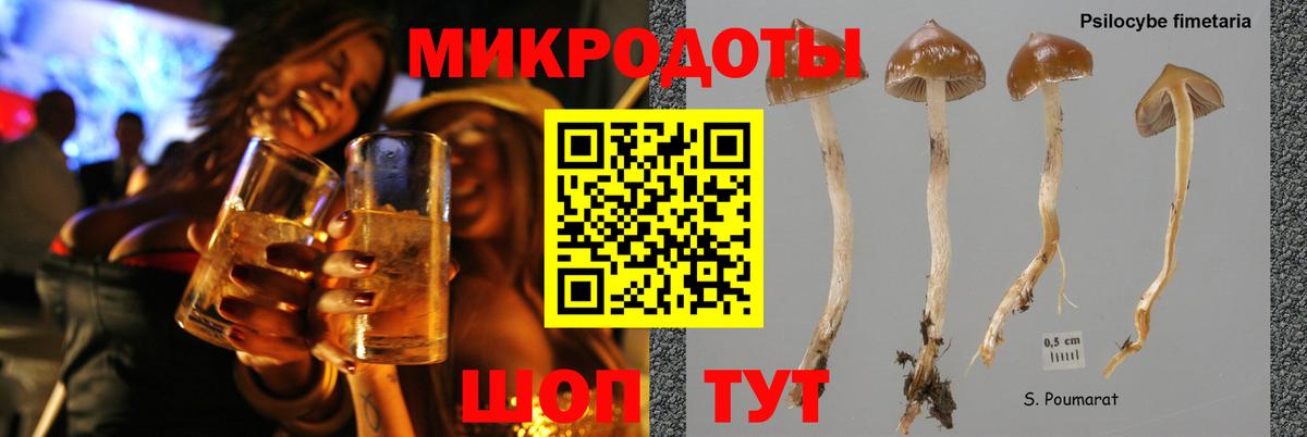 Дмитров  Галлюциногенные грибы Psilocybine cubensis  Вход с VPN  Галлюциногенные грибы ЛСД 